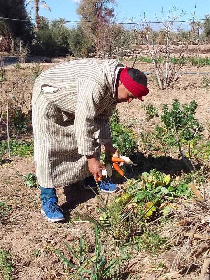 Kasbah Dar Dmana Hotel Skoura Luaran gambar