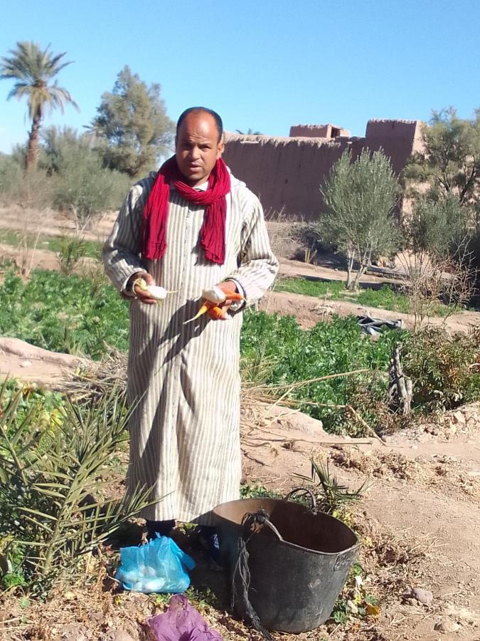 Kasbah Dar Dmana Hotel Skoura Luaran gambar